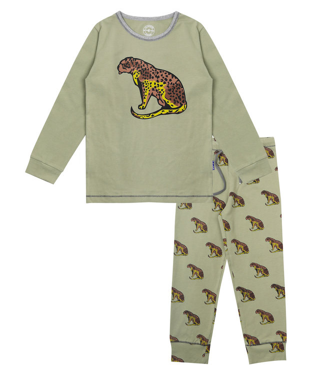 Claesen's Pyjama Cheetah