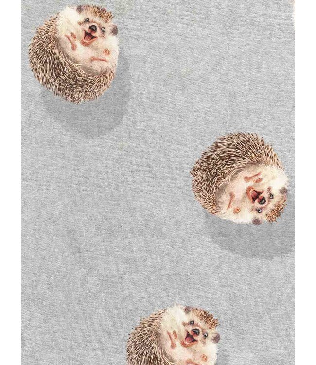 SNURK Sweater met hoody