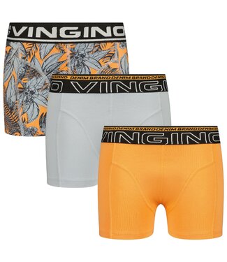 Vingino Boxer short Leaf 3er Pack