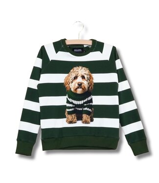 SNURK Sweater Labradoodle