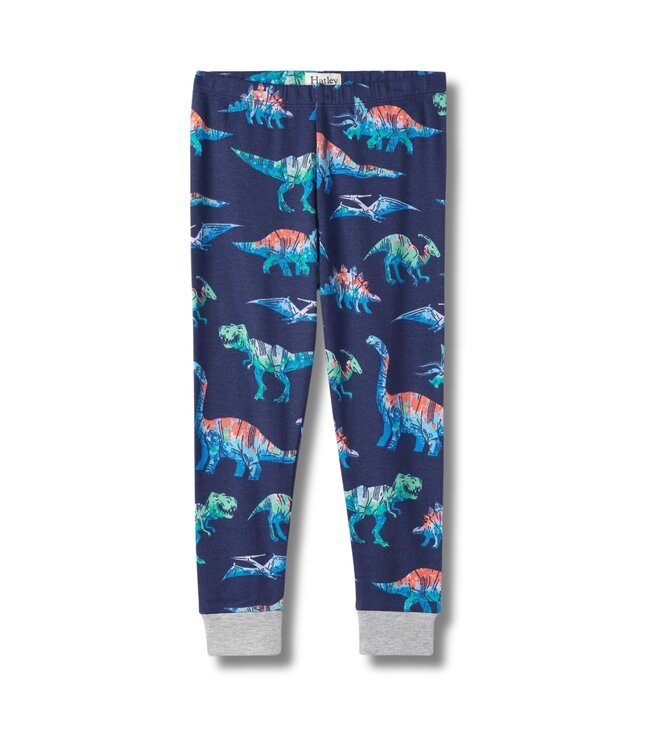 Hatley Schlafanzug Imagine Dinos
