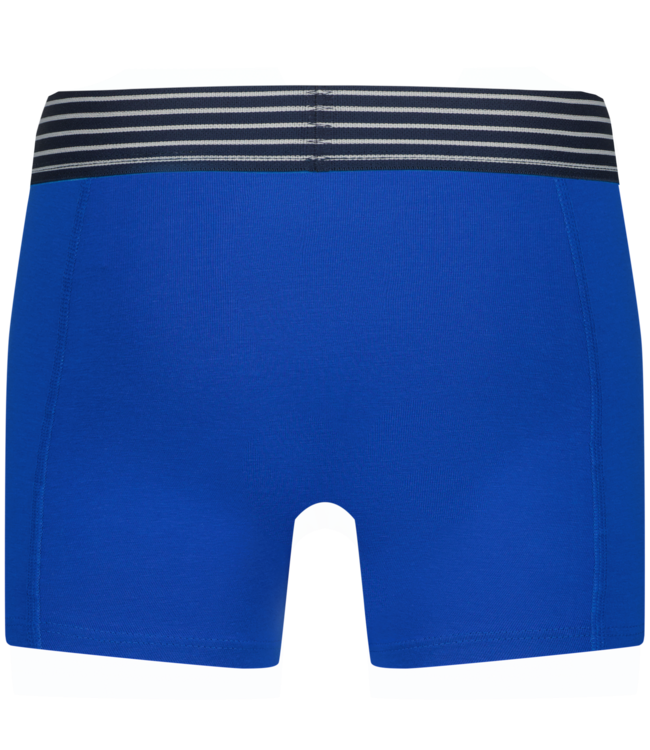 Vingino Boxer briefs Palm Paint Blue 3-pack