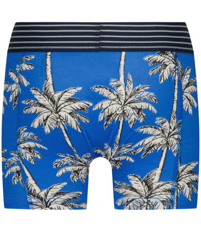 Vingino Boxer short Palm Paint Blue 3-pack