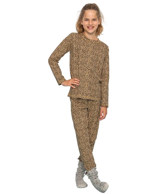 Claesen's Pyjama Panther