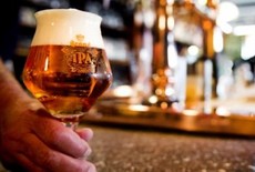 In dui magna, posuere eget, vestibulum et, tempor auctor.