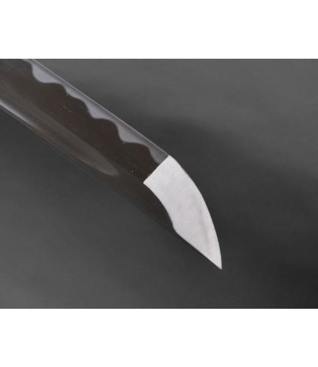 Wit T Samurai katana zwaard