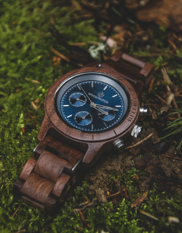 قصة WoodWatch