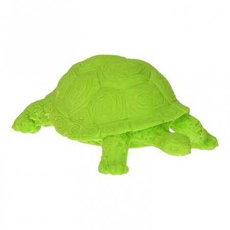 3D Dieren Gum Schildpad