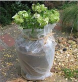 100 cm x 5 m Winter planten vorstvrij bewaren noppenfolie op rol - bubbeltjesplastic