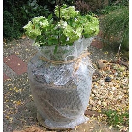 100 cm x 5 m Winter planten vorstvrij bewaren noppenfolie op rol - bubbeltjesplastic