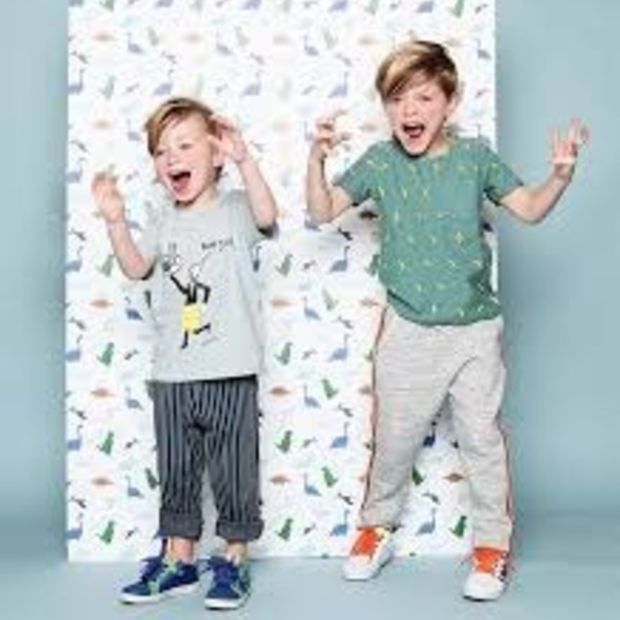 Shop nu onze zorgvuldig geselecteerde collectie schoenen voor jongens en meisjes.
