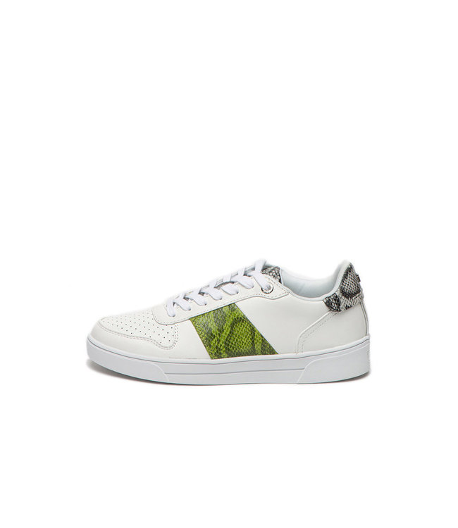 TED BAKER Ted baker sneaker COPPIRR-Exotic Emboss 241717