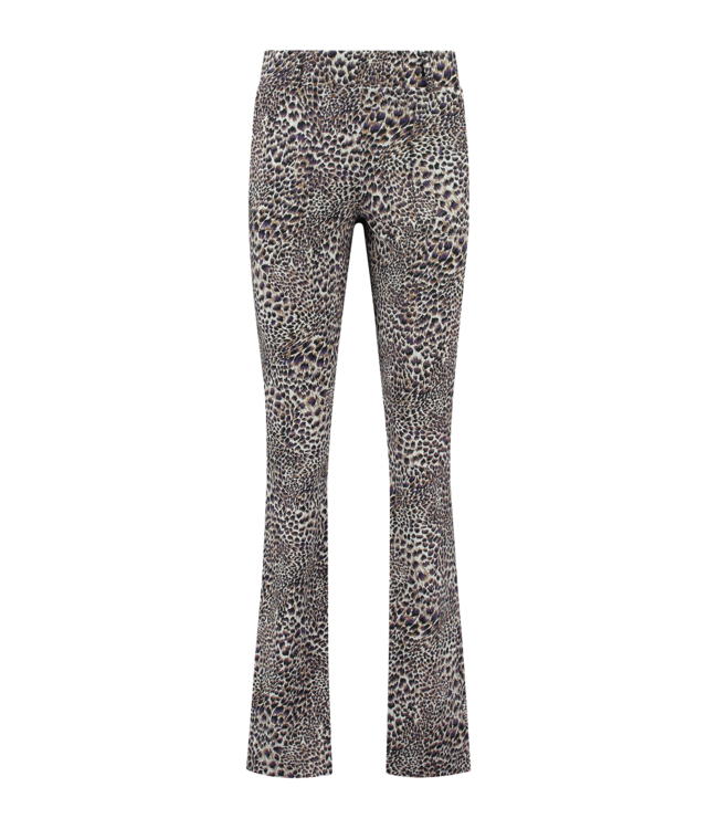 HELENA HART Helena Hart 7412FEA broek flair feather paars