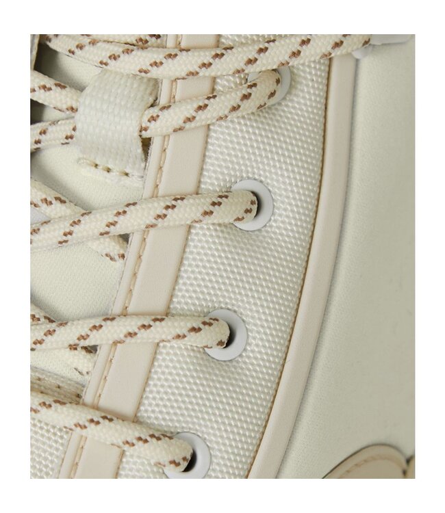 PALLADIUM Palladium Pampa rains 22570 2 fossil 5500