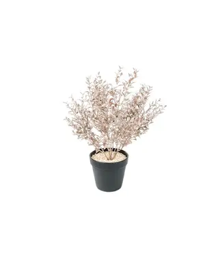 HOUSE VITAMIN Housevitamin Plant With Pot 202540 Bronze Gold