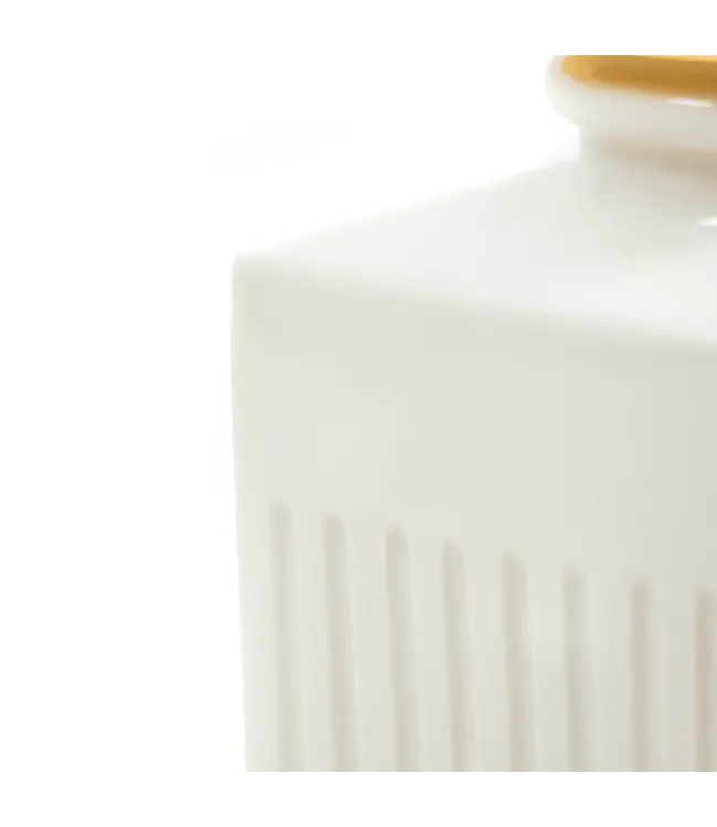 HOUSE VITAMIN HV Home De Cologne Vaas 202975 Goud/Wit