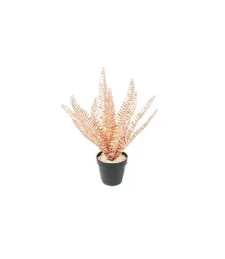 HOUSE VITAMIN HV Golden Fern 202544 15x30x45cm