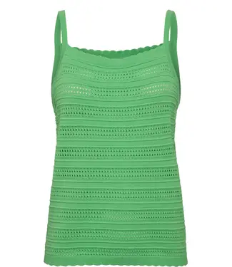 Nümph Numph Nucorinna Top 704293 Summer Green