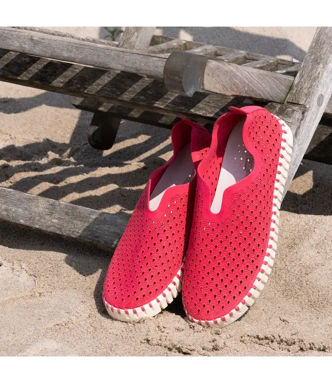 ILSE JACOBSEN Ilse Jacobsen Tulip3275 Viva Magenta 2002