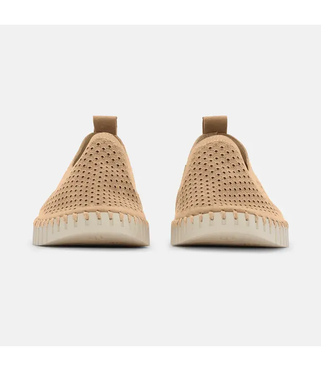 ILSE JACOBSEN Ilse Jacobsen tulip140men 110 latte 3000