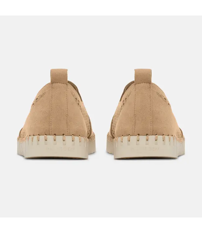 ILSE JACOBSEN Ilse Jacobsen tulip140men 110 latte 3000