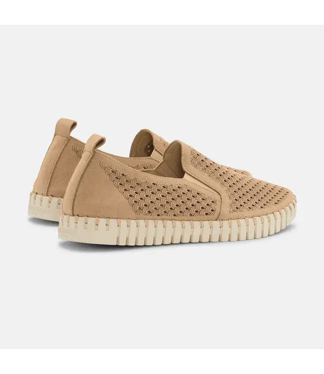 ILSE JACOBSEN Ilse Jacobsen tulip140men 110 latte 3000