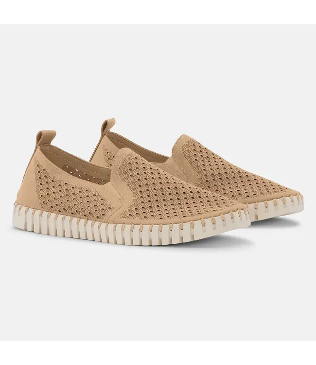 ILSE JACOBSEN Ilse Jacobsen tulip140men 110 latte 3000