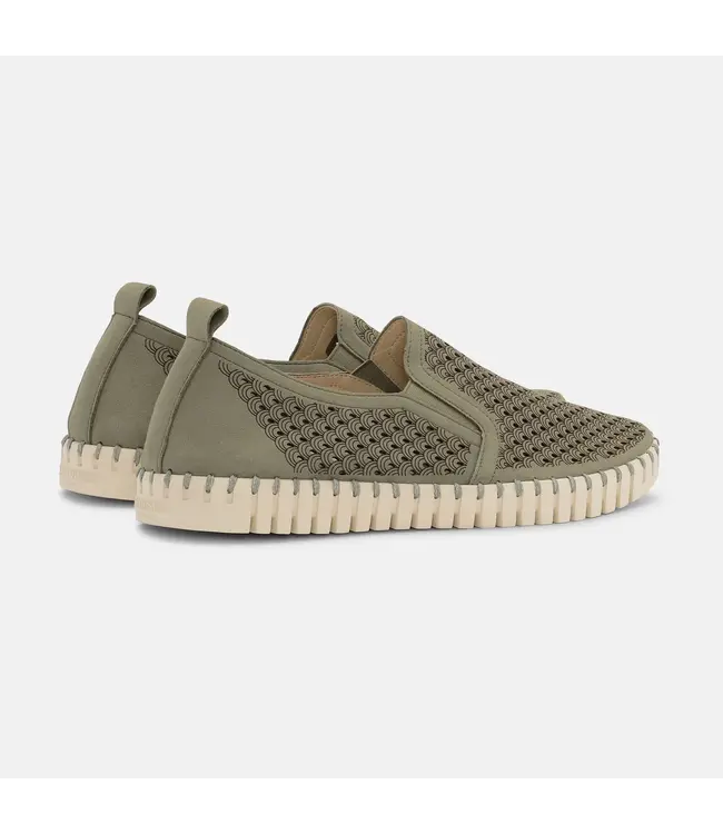 ILSE JACOBSEN Ilse Jacobsen tulip140men 410 army