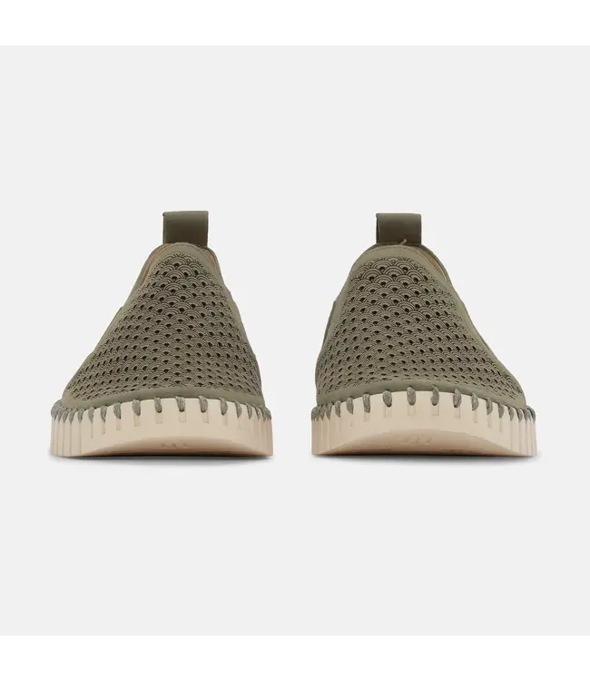 ILSE JACOBSEN Ilse Jacobsen tulip140men 410 army