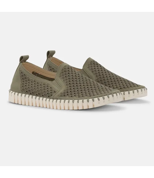 ILSE JACOBSEN Ilse Jacobsen tulip140men 410 army