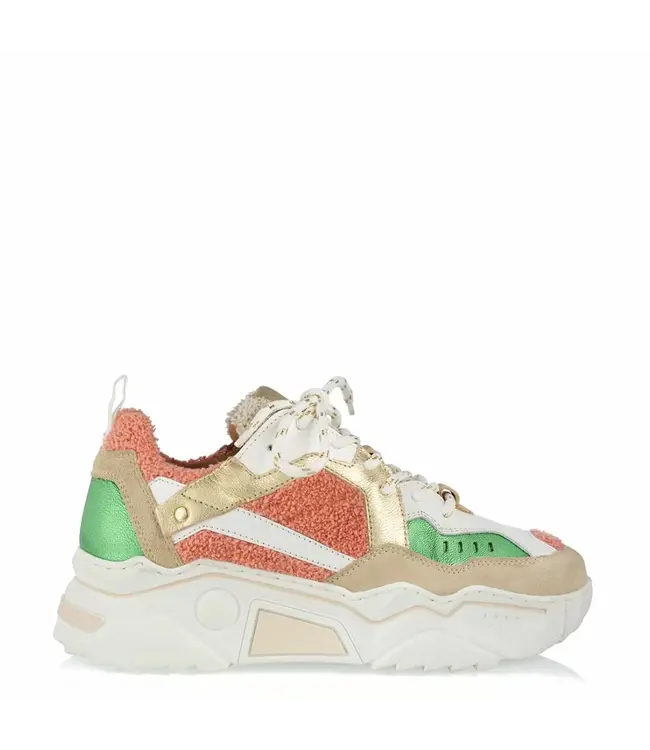 DWARS Dwars J5217-25 Pluto terry Orange/Green 3323