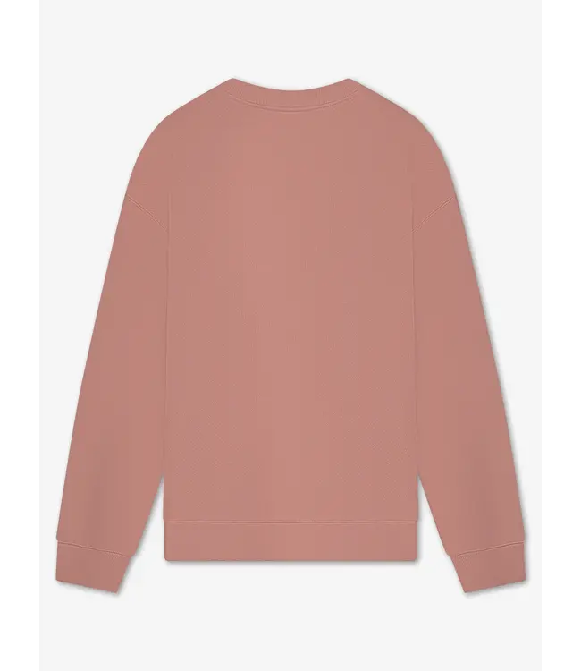 LAW OF THE SEA Law of the sea Themis Desert sand Law-10100-809