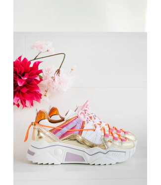 DWARS Dwars J6870 Orion Pink/Champ