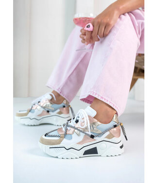 DWARS Dwars J5554C Jupiter Rose/Jeans