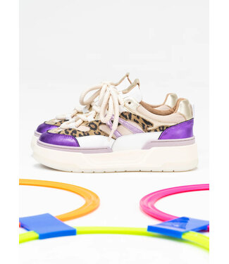 DWARS Dwars B11387 Walton Leo/Purple