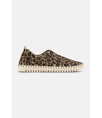 ILSE JACOBSEN Ilse Jacobsen Tulip3275LEO 110111 Latte Pearled Ivory