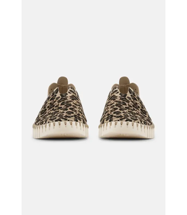 ILSE JACOBSEN Ilse Jacobsen Tulip3275LEO 110111 Latte Pearled Ivory