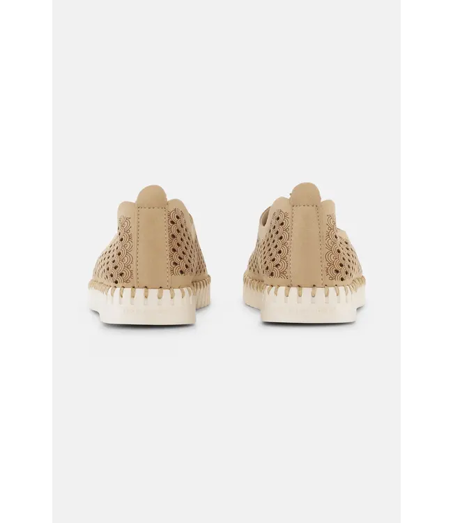 ILSE JACOBSEN Ilse Jacobsen Tulip 3275 110 Latte 2008