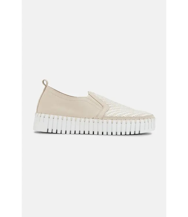 ILSE JACOBSEN Ilse Jacobsen Tulip 3876 144100 Kit white 2006