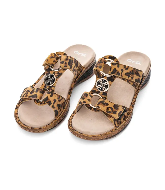 ARA ARA 1229003 Hawaii LEO 3033