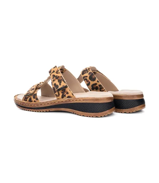 ARA ARA 1229003 Hawaii LEO 3033