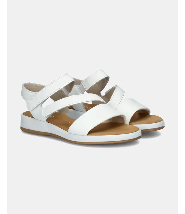 GABOR Gabor 62.733.50 Cervo White