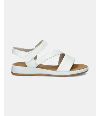 GABOR Gabor 62.733.50 Cervo White