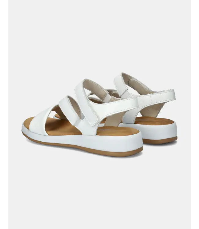 GABOR Gabor 62.733.50 Cervo White