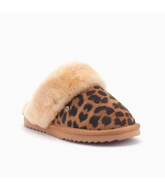 Warmbat Warmbat Collie CLL 32 12 23 Panter