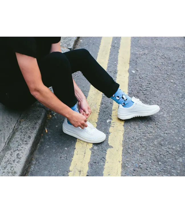 ALFREDO GONZALES Alfredo Gonzales The Penguin AG-SK-GL-01 Blue Melee