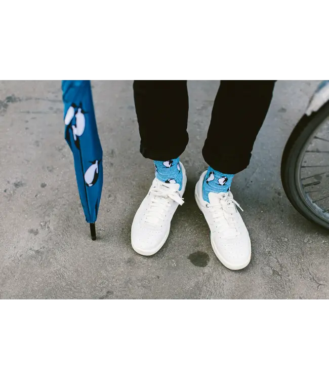 ALFREDO GONZALES Alfredo Gonzales The Penguin AG-SK-GL-01 Blue Melee