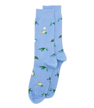 ALFREDO GONZALES Alfredo Gonzales Turtles AG-SK-TUR-01 Light Blue