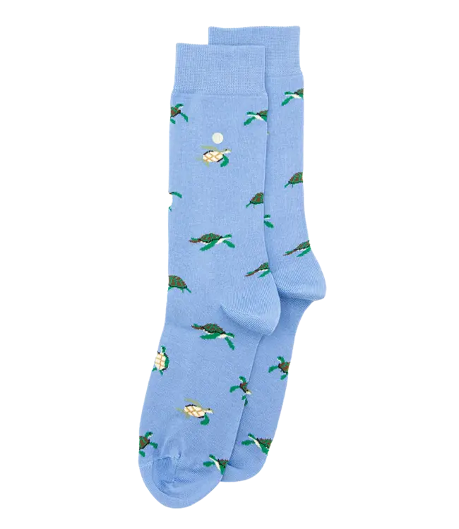 ALFREDO GONZALES Alfredo Gonzales Turtles AG-SK-TUR-01 Light Blue
