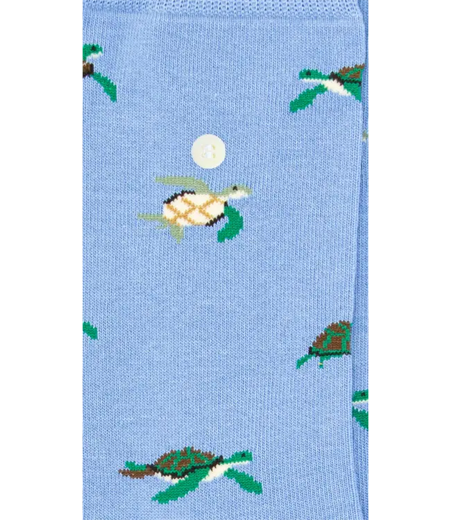 ALFREDO GONZALES Alfredo Gonzales Turtles AG-SK-TUR-01 Light Blue
